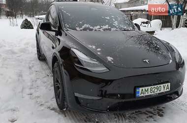 Внедорожник / Кроссовер Tesla Model Y 2024 в Житомире