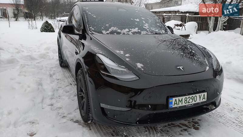 Внедорожник / Кроссовер Tesla Model Y 2024 в Житомире
