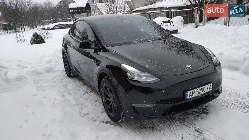 Внедорожник / Кроссовер Tesla Model Y 2024 в Житомире