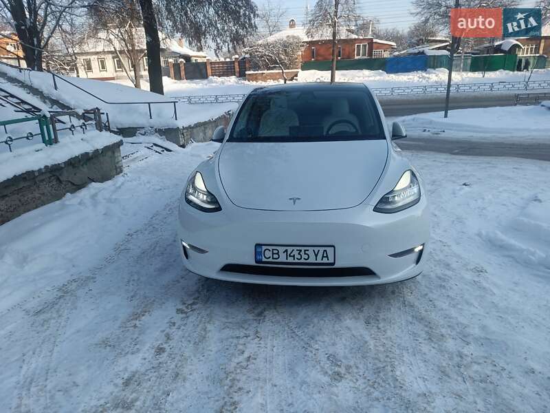 Внедорожник / Кроссовер Tesla Model Y 2021 в Чернигове