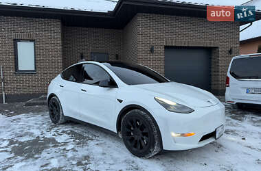 Позашляховик / Кросовер Tesla Model Y 2021 в Луцьку