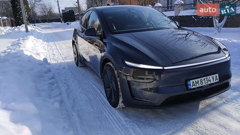 Внедорожник / Кроссовер Tesla Model Y 2025 в Коростышеве