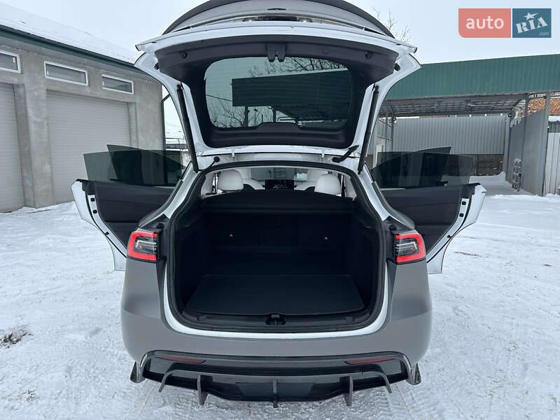 Внедорожник / Кроссовер Tesla Model Y 2023 в Теофиполе