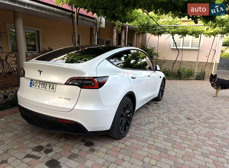2021 Tesla Model Y, VIN 5YJYGDEE7MF087011:plate — фото 1 (autoria)