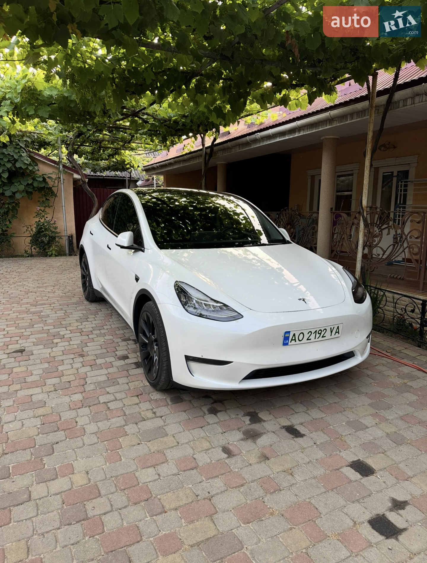 2021 Tesla Model Y - фото 1