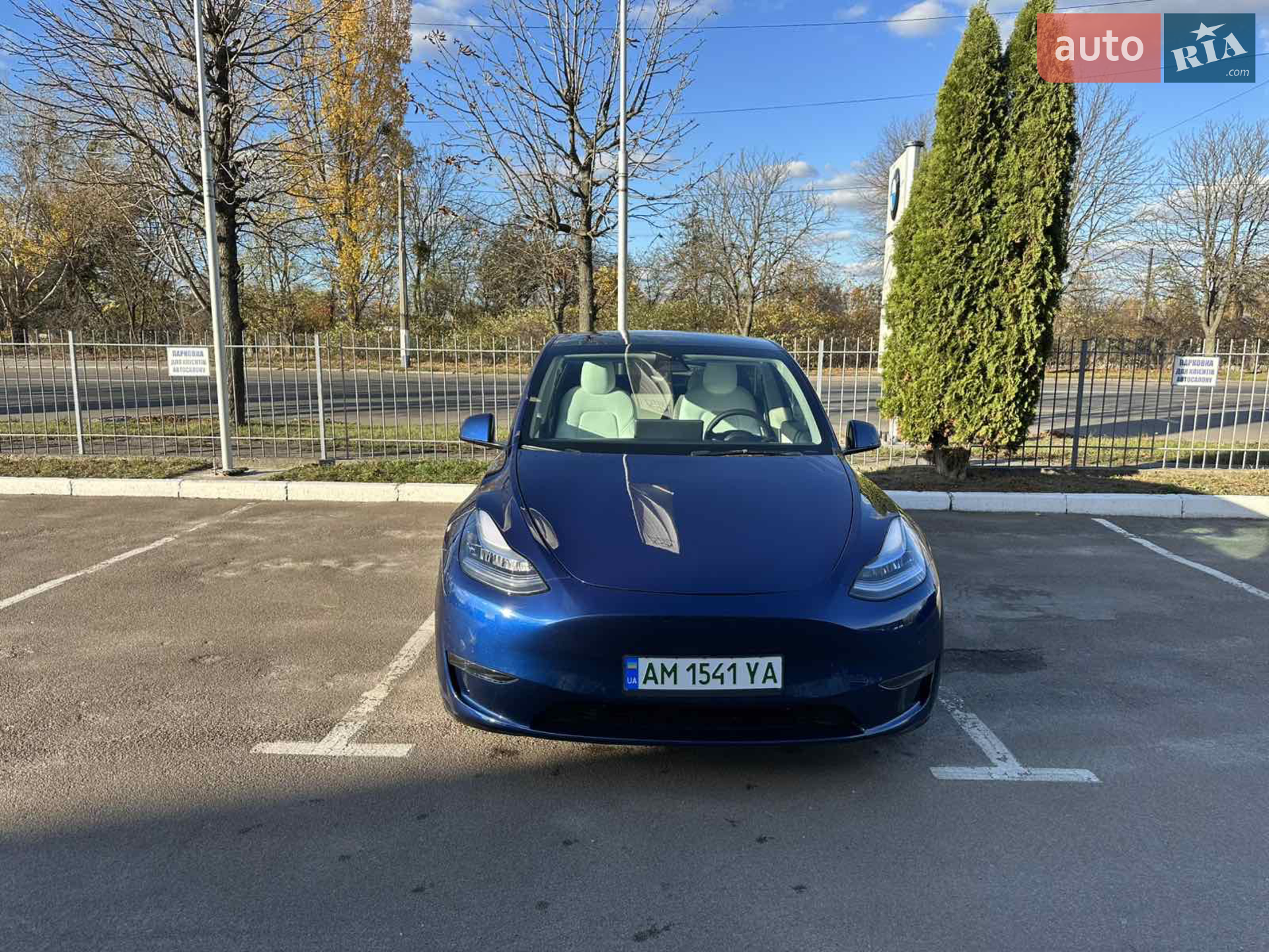 2021 Tesla Model Y - фото 1