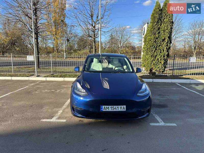 Внедорожник / Кроссовер Tesla Model Y 2021 в Житомире