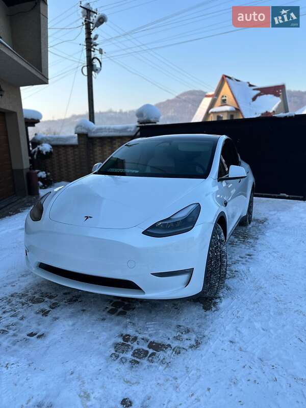 Позашляховик / Кросовер Tesla Model Y 2024 в Тячеві