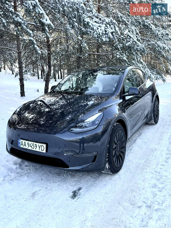 Внедорожник / Кроссовер Tesla Model Y 2024 в Броварах