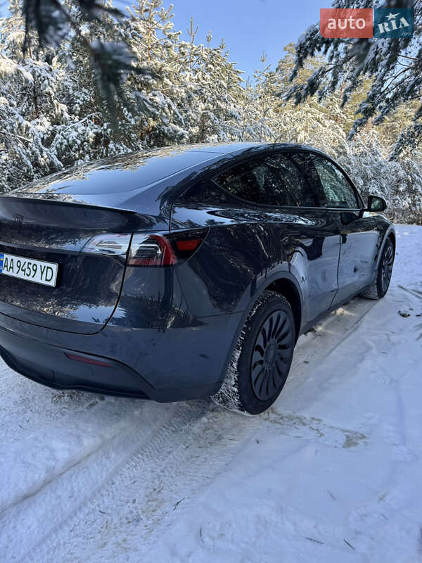 Внедорожник / Кроссовер Tesla Model Y 2024 в Броварах