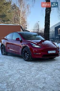 Внедорожник / Кроссовер Tesla Model Y 2024 в Черновцах