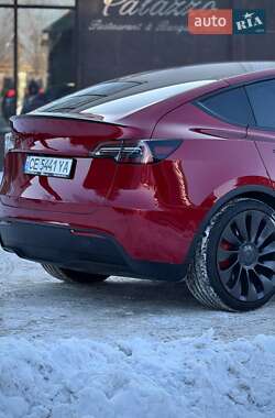 Внедорожник / Кроссовер Tesla Model Y 2024 в Черновцах
