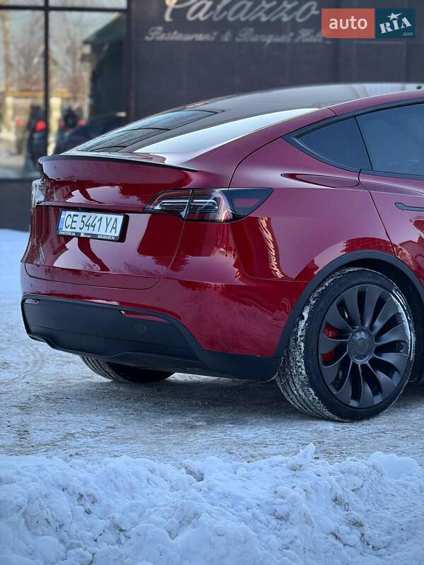 Внедорожник / Кроссовер Tesla Model Y 2024 в Черновцах