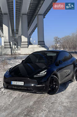 Позашляховик / Кросовер Tesla Model Y 2023 в Чернігові