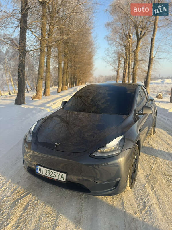 Позашляховик / Кросовер Tesla Model Y 2021 в Бучі фото 2 Позашляховик / Кросовер Tesla Model Y 2021 в Бучі