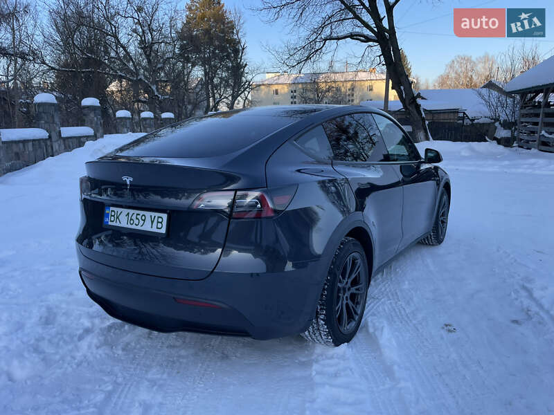 Внедорожник / Кроссовер Tesla Model Y 2024 в Львове