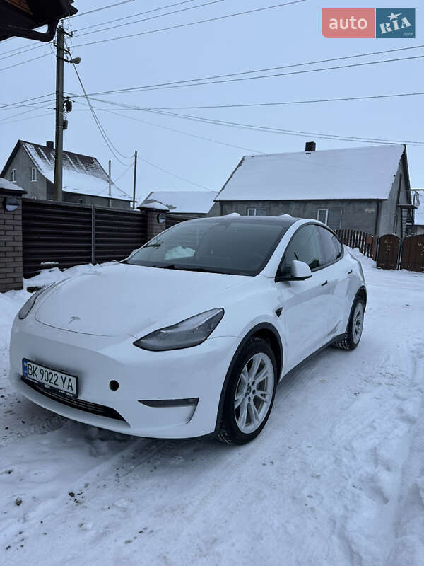 Внедорожник / Кроссовер Tesla Model Y 2021 в Владимирце