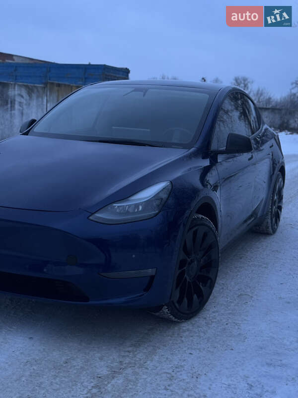 Внедорожник / Кроссовер Tesla Model Y 2021 в Лубнах фото 23 Внедорожник / Кроссовер Tesla Model Y 2021 в Лубнах