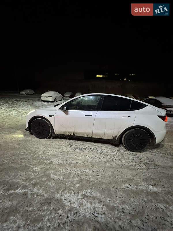 Позашляховик / Кросовер Tesla Model Y 2021 в Борисполі