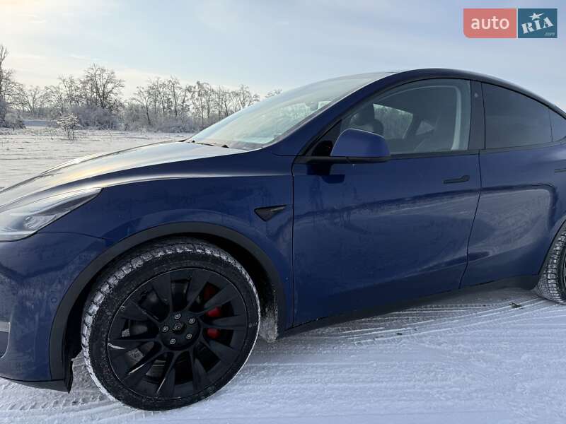 Внедорожник / Кроссовер Tesla Model Y 2020 в Фастове