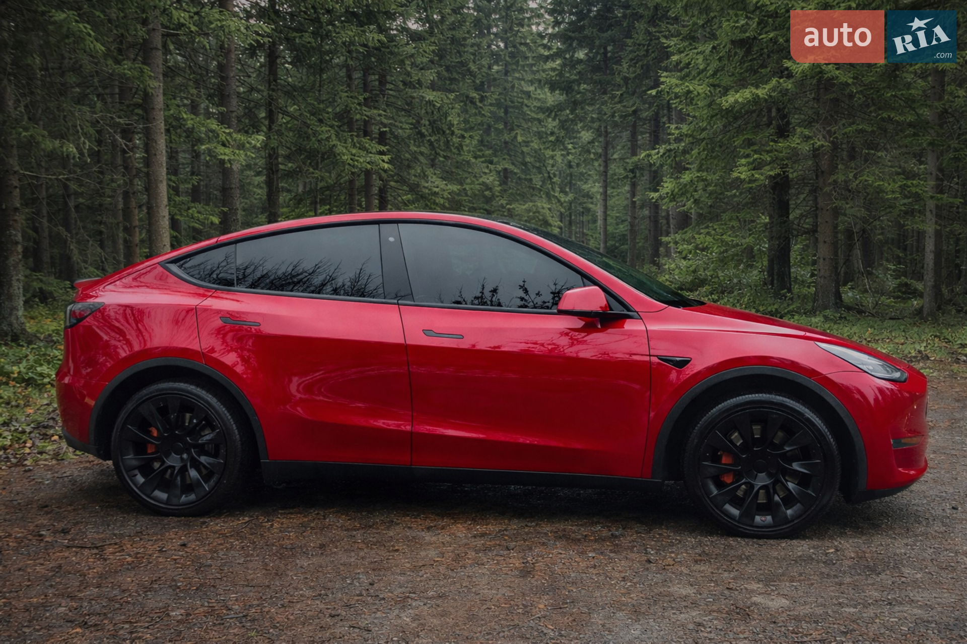 2020 Tesla Model Y - мініатюра 6