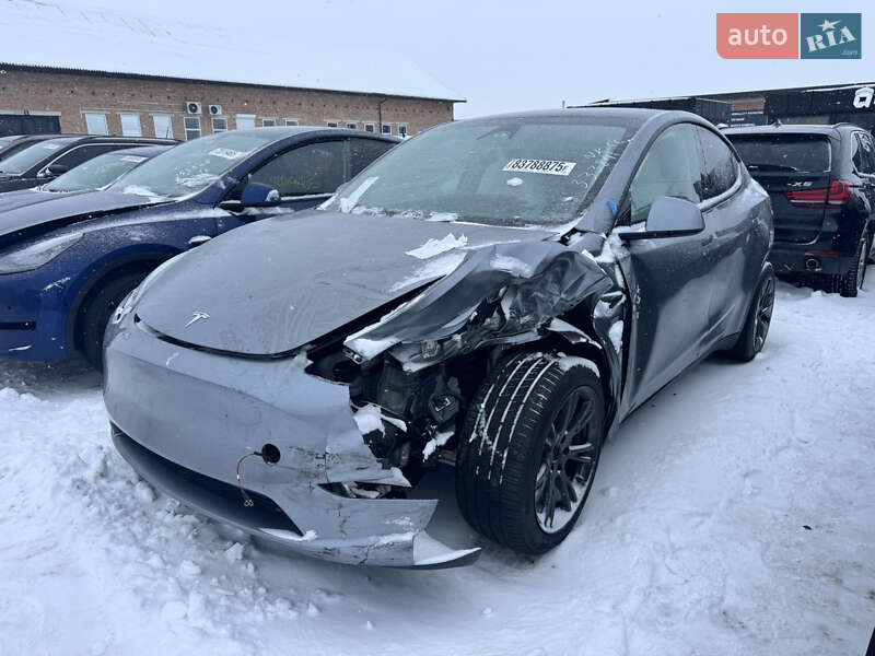 2024 Tesla Model Y, VIN 7SAYGDEE2RA333891:plate — фото 1 (autoria)