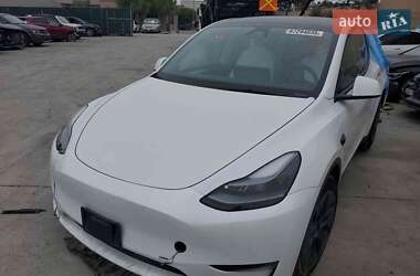 Позашляховик / Кросовер Tesla Model Y 2024 в Києві