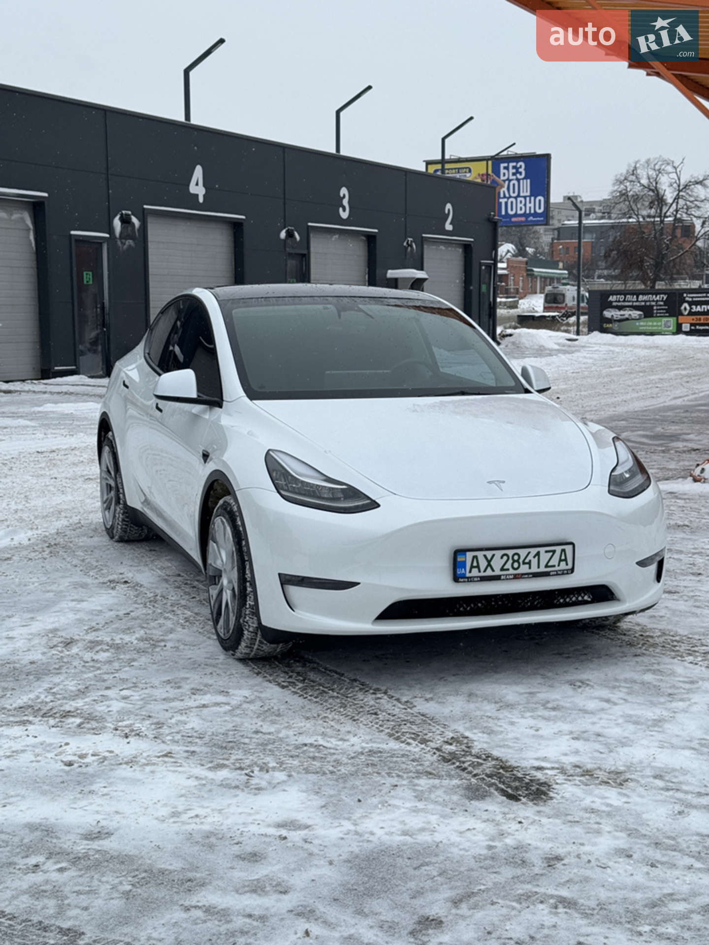 2023 Tesla Model Y - фото 1
