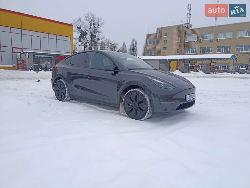 Позашляховик / Кросовер Tesla Model Y 2024 в Житомирі