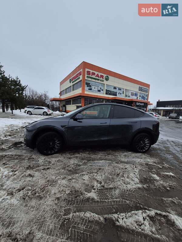 Внедорожник / Кроссовер Tesla Model Y 2024 в Хмельницком
