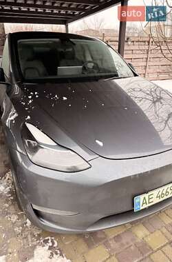Позашляховик / Кросовер Tesla Model Y 2021 в Дніпрі