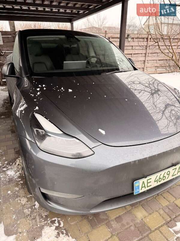 Внедорожник / Кроссовер Tesla Model Y 2021 в Днепре