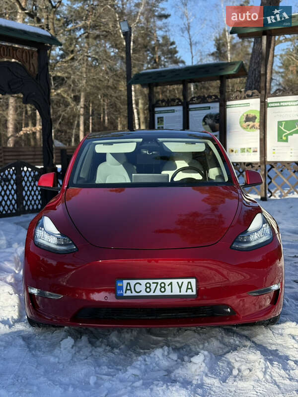 Позашляховик / Кросовер Tesla Model Y 2021 в Луцьку