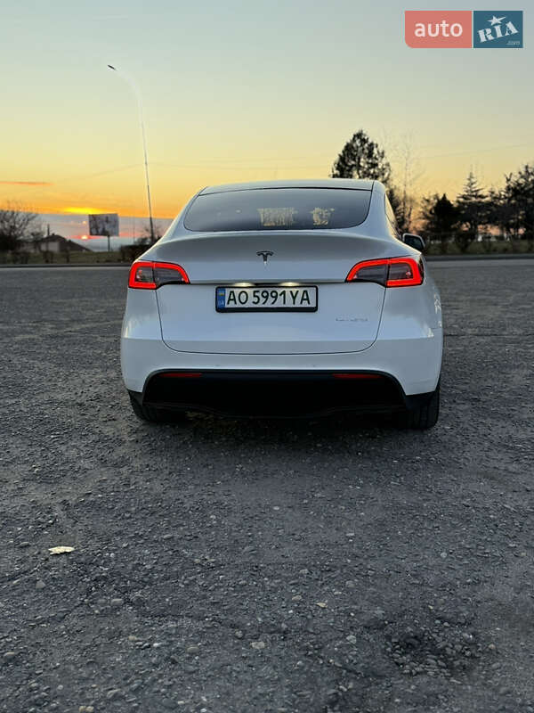 Позашляховик / Кросовер Tesla Model Y 2021 в Ужгороді