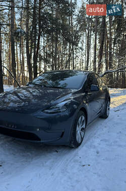 Позашляховик / Кросовер Tesla Model Y 2023 в Василькові