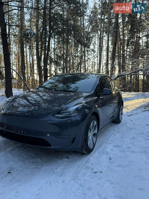 Внедорожник / Кроссовер Tesla Model Y 2023 в Василькове