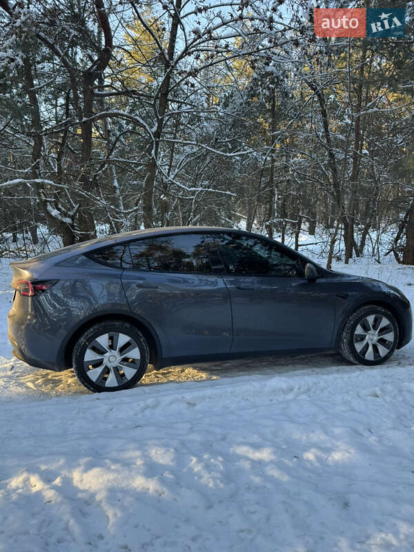 Внедорожник / Кроссовер Tesla Model Y 2023 в Василькове