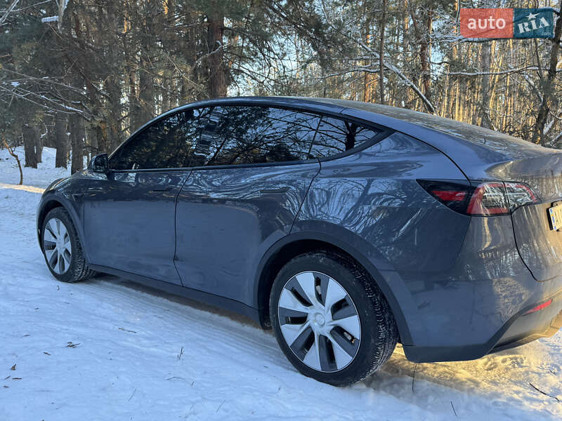 Внедорожник / Кроссовер Tesla Model Y 2023 в Василькове