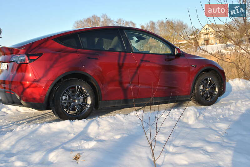 Позашляховик / Кросовер Tesla Model Y 2024 в Луцьку