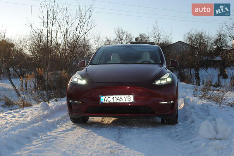 Позашляховик / Кросовер Tesla Model Y 2024 в Луцьку