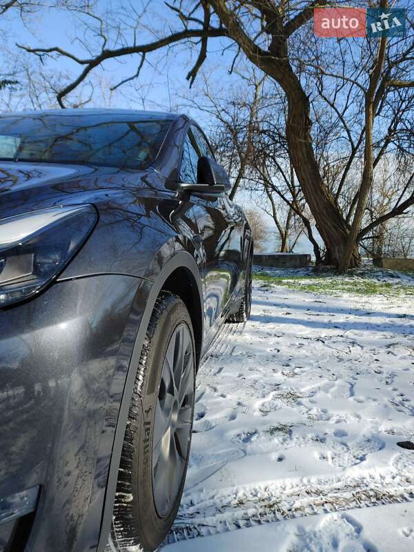 Внедорожник / Кроссовер Tesla Model Y 2024 в Одессе