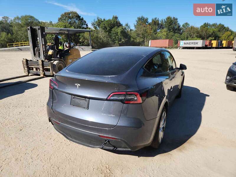 Внедорожник / Кроссовер Tesla Model Y 2023 в Киеве