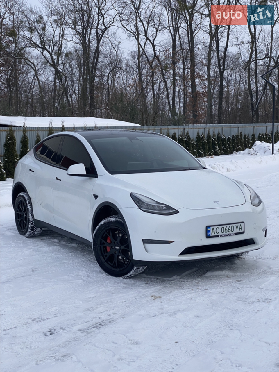 2020 Tesla Model Y - мініатюра 20