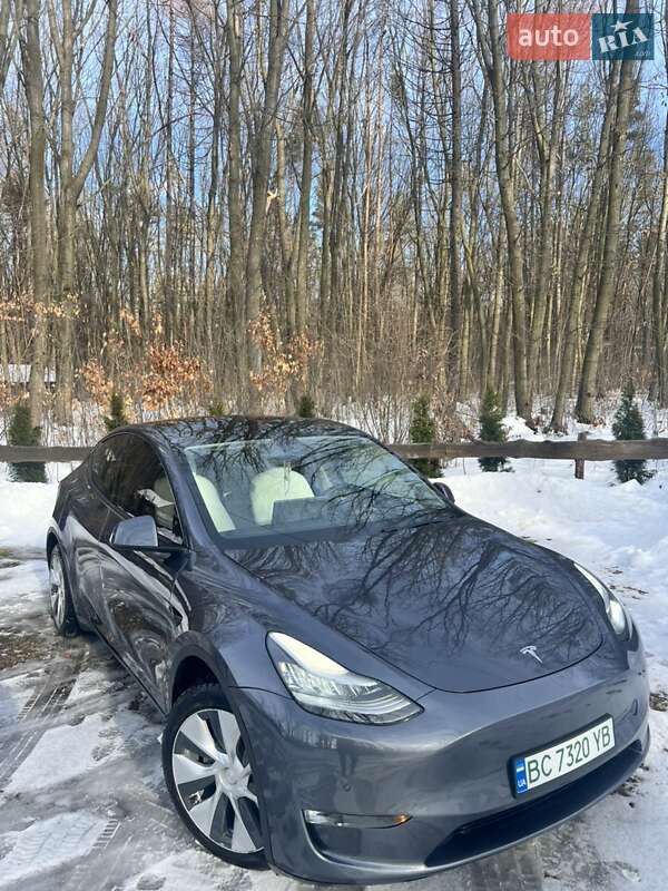 Позашляховик / Кросовер Tesla Model Y 2020 в Львові