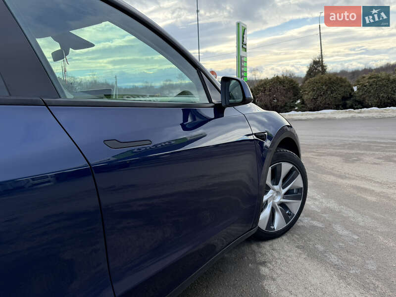 Внедорожник / Кроссовер Tesla Model Y 2021 в Дрогобыче