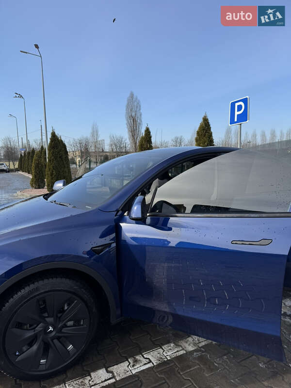 Позашляховик / Кросовер Tesla Model Y 2020 в Кременчуці фото 8 Позашляховик / Кросовер Tesla Model Y 2020 в Кременчуці