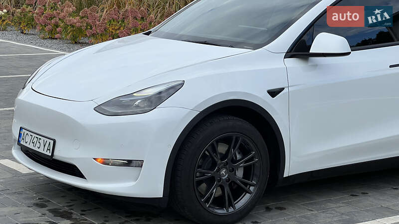 Позашляховик / Кросовер Tesla Model Y 2021 в Луцьку
