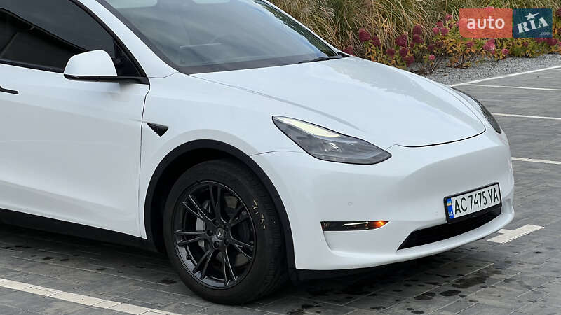 Позашляховик / Кросовер Tesla Model Y 2021 в Луцьку
