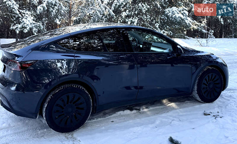 Внедорожник / Кроссовер Tesla Model Y 2024 в Броварах