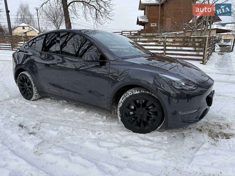 Позашляховик / Кросовер Tesla Model Y 2024 в Києві
